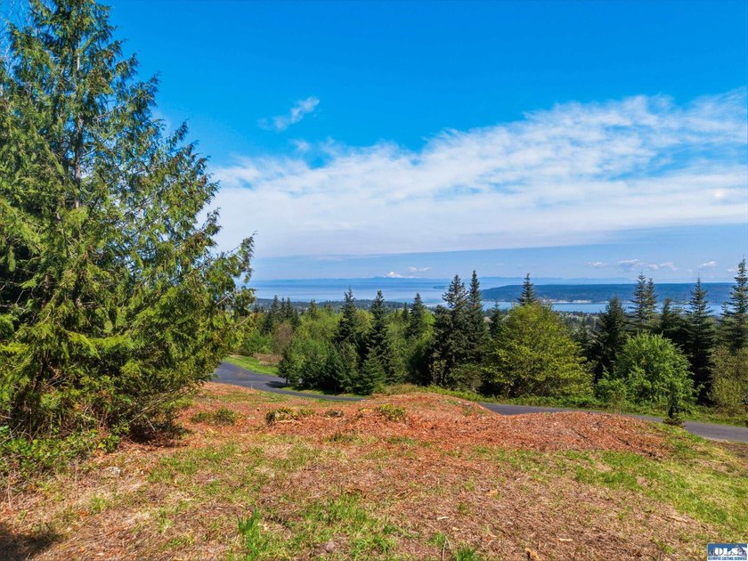 Discover an unparalleled opportunity to craft your dream home on - photo 2