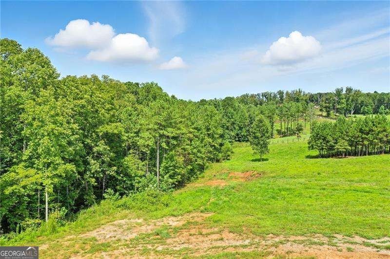 **NEW FANTASTIC PRICE FOR OVER 8 ACRES IN DESIRABLE BALL GROUND - photo 2