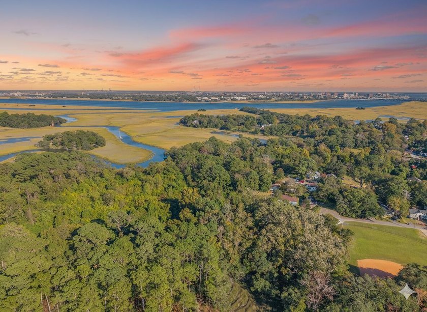 Tucked within Avenue of Oaks, one of West Ashley's most - photo 35