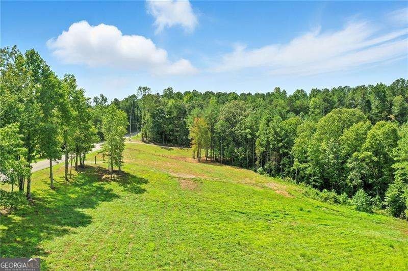 **NEW FANTASTIC PRICE FOR OVER 8 ACRES IN DESIRABLE BALL GROUND - photo 10