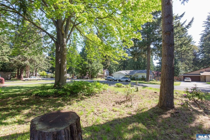 Single story home located on a corner oversized lot in a well - photo 6