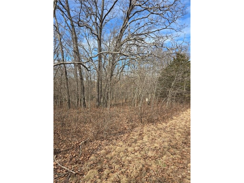 Discover 32 acres of pure, untouched land an ideal retreat for - photo 2