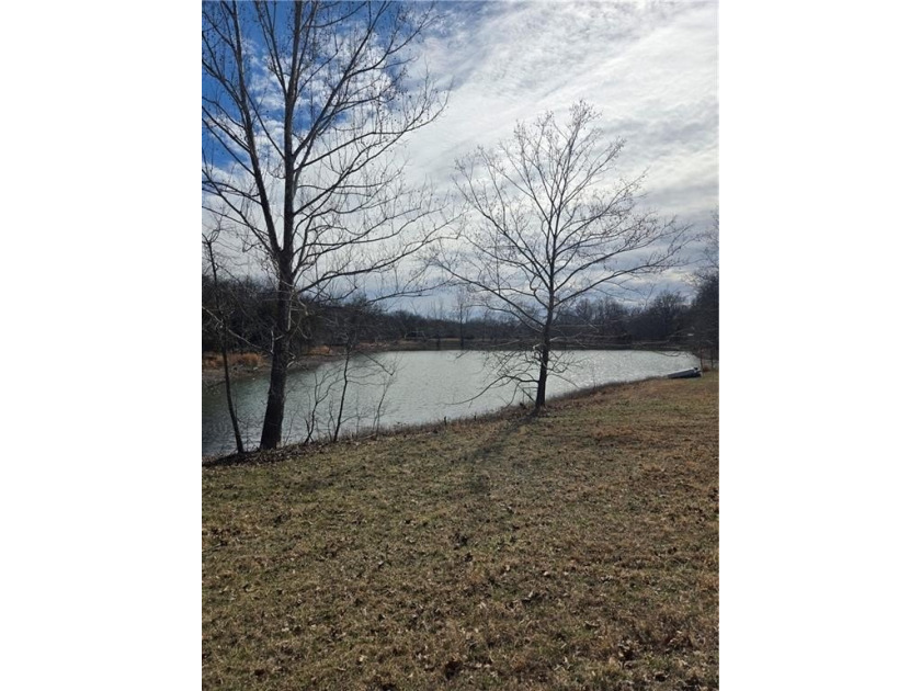 Discover 32 acres of pure, untouched land an ideal retreat for - photo 5
