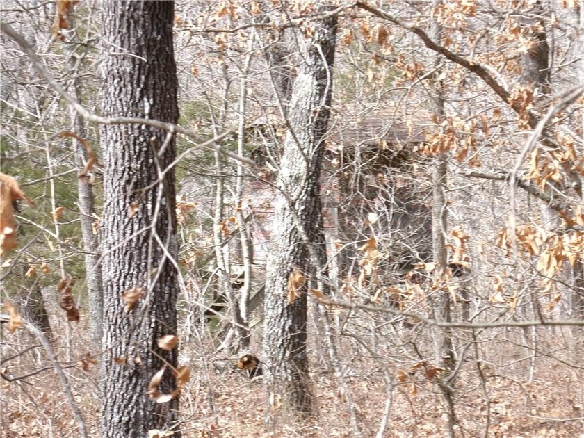 Discover 32 acres of pure, untouched land an ideal retreat for - photo 6