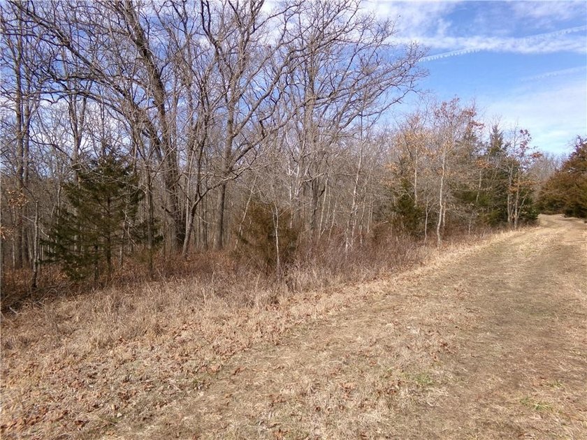 Discover 32 acres of pure, untouched land an ideal retreat for - photo 10