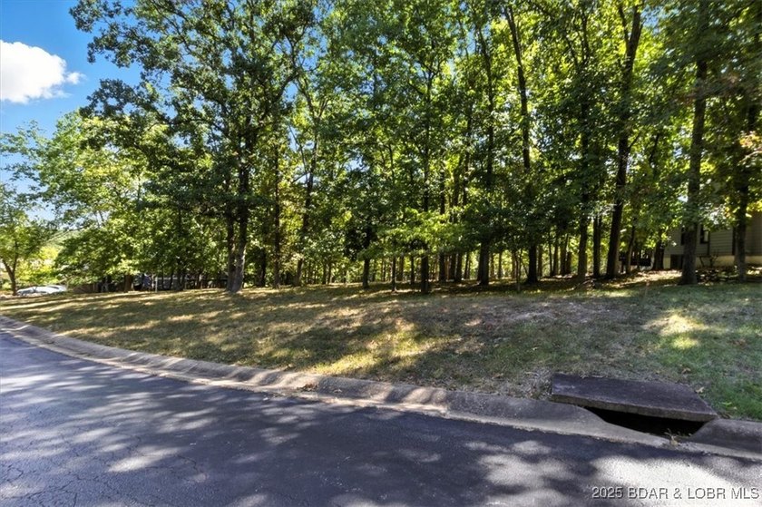 Fantastic opportunity to build your dream home on this - photo 19