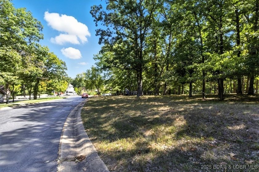 Fantastic opportunity to build your dream home on this - photo 21