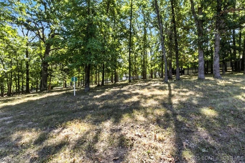 Fantastic opportunity to build your dream home on this - photo 22
