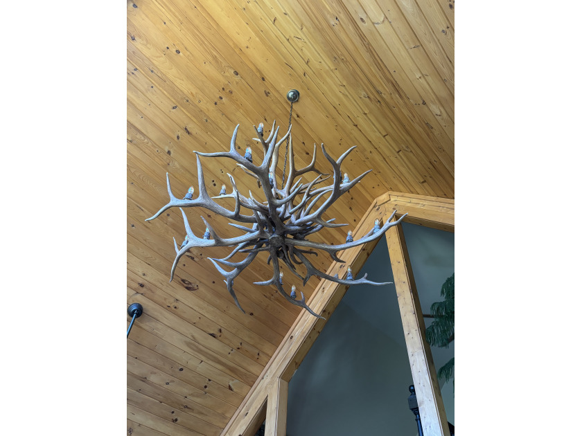 Custom 7 ft wide 3tier Chandelier in the Great Room ..what a sight from the lake - photo 6
