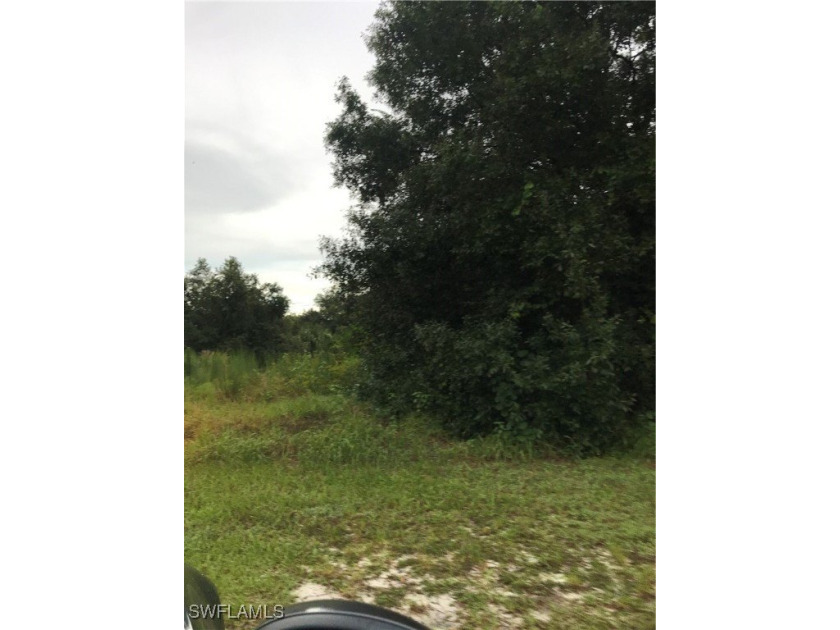 LOCATION LOCATION LOCATION!!! Don't miss out on this amazing - photo 3