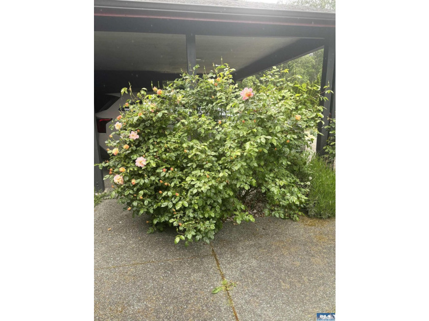 Beautiful 2 bedroom, 3 bath home on one level. This is a - photo 5