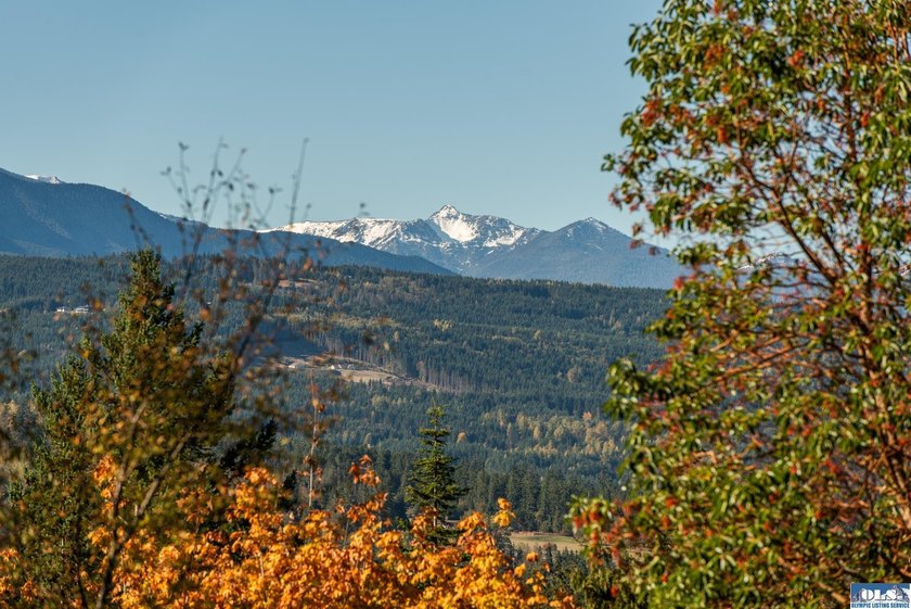 Imagine your dream home here - where everyday feels like a - photo 2