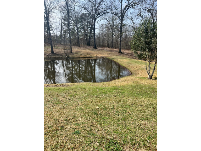 Discover your private sanctuary north of Natchez, perfectly - photo 32