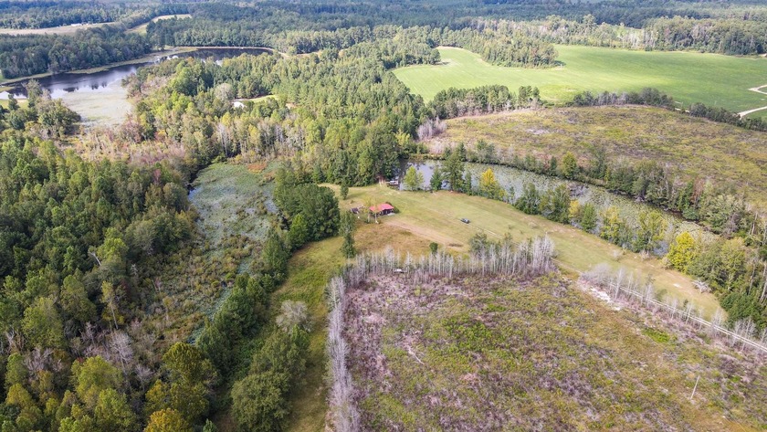 Here's your chance to own a unique property with a private - photo 4
