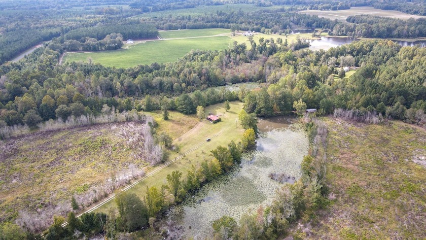 Here's your chance to own a unique property with a private - photo 5