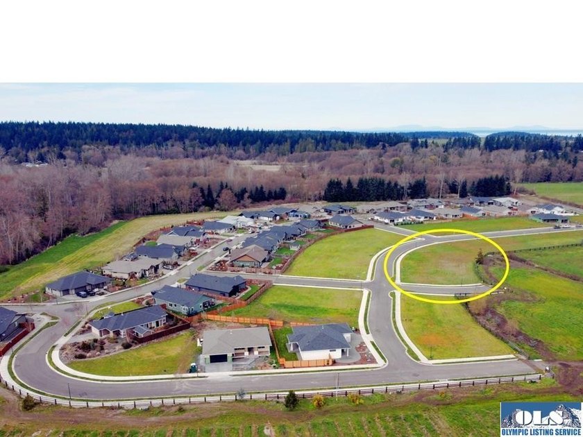 Discover Willow Creek Manor in the heart of the famous Sequim - photo 2