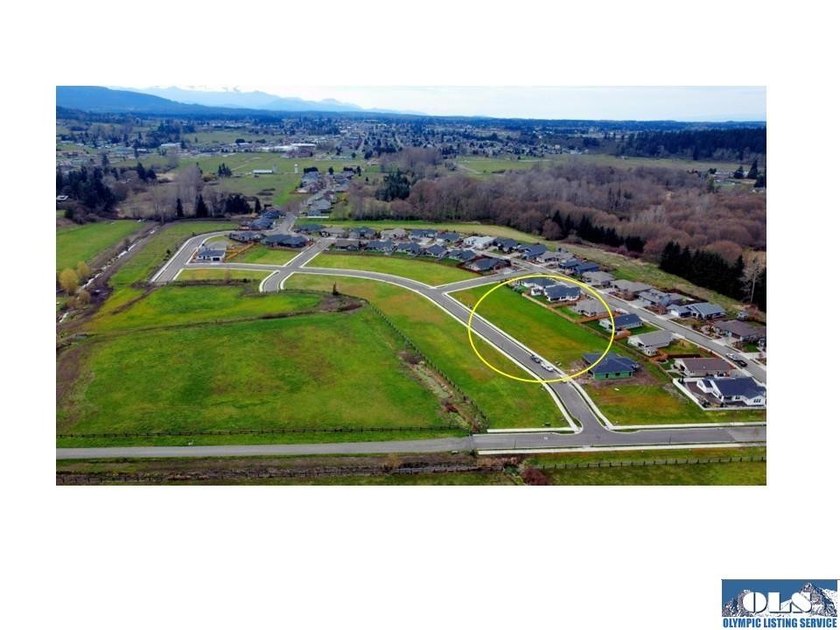 Discover Willow Creek Manor in the heart of the famous Sequim - photo 4