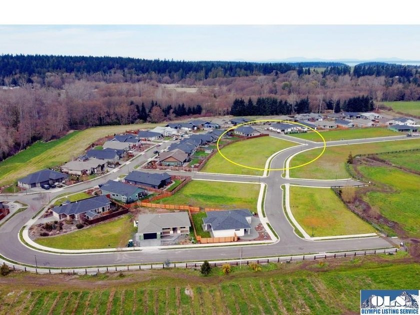 Discover Willow Creek Manor in the heart of the famous Sequim - photo 3