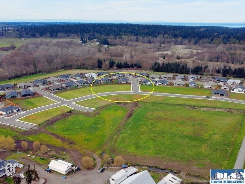 Discover Willow Creek Manor in the heart of the famous Sequim - photo 4