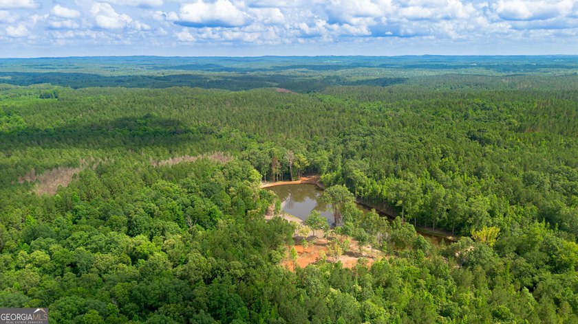 Getting lost in the woods sounds a lot better when you own all - photo 4