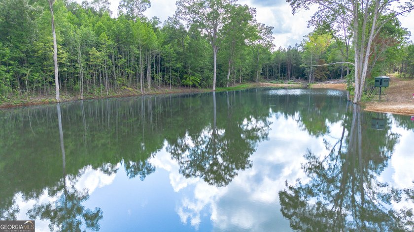 Getting lost in the woods sounds a lot better when you own all - photo 9