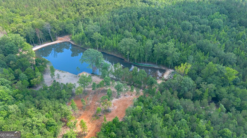Getting lost in the woods sounds a lot better when you own all - photo 10