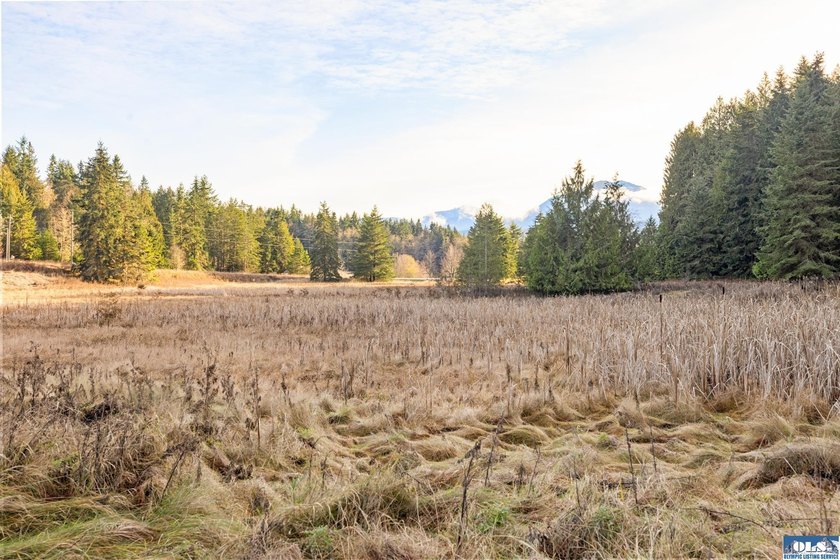A gem in Sequim! There's a reason this parcel feels like a - photo 13