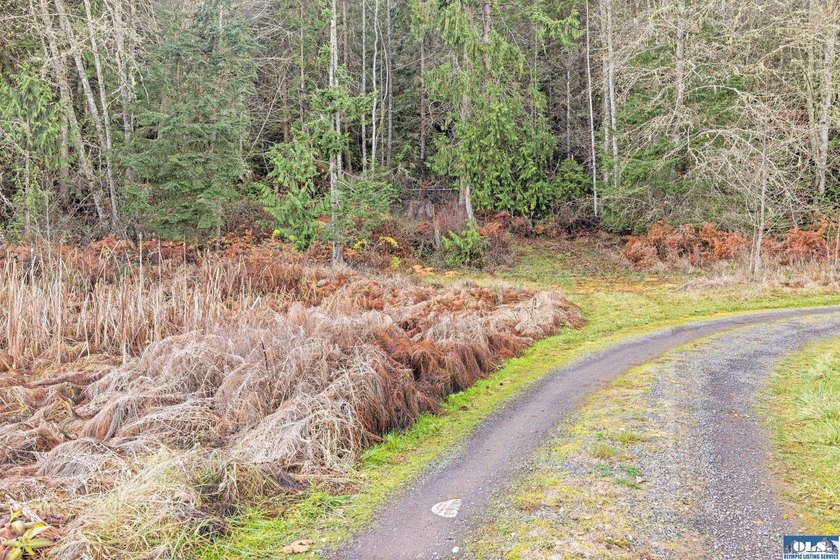 A gem in Sequim! There's a reason this parcel feels like a - photo 15