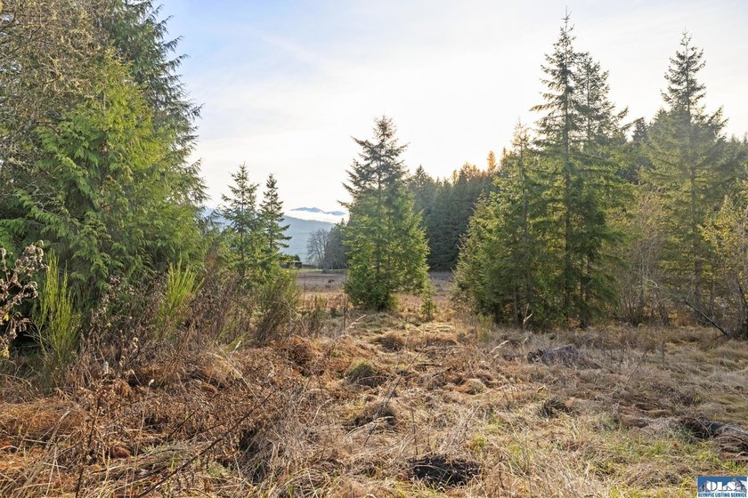 A gem in Sequim! There's a reason this parcel feels like a - photo 17