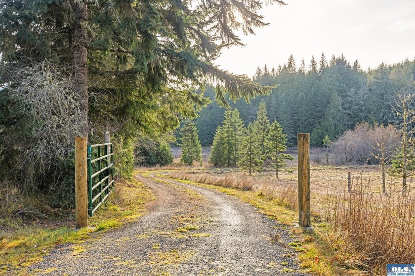 A gem in Sequim! There's a reason this parcel feels like a - photo 19