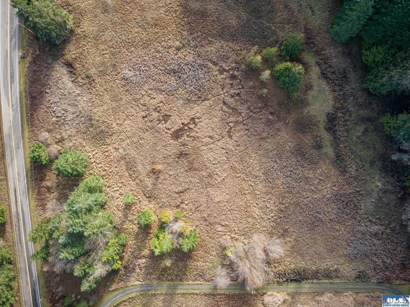 A gem in Sequim! There's a reason this parcel feels like a - photo 27