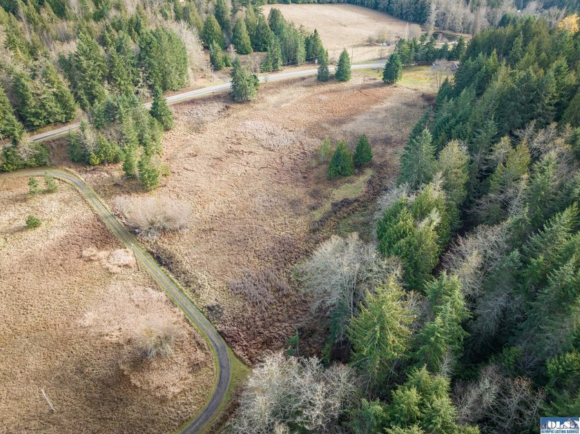 A gem in Sequim! There's a reason this parcel feels like a - photo 35