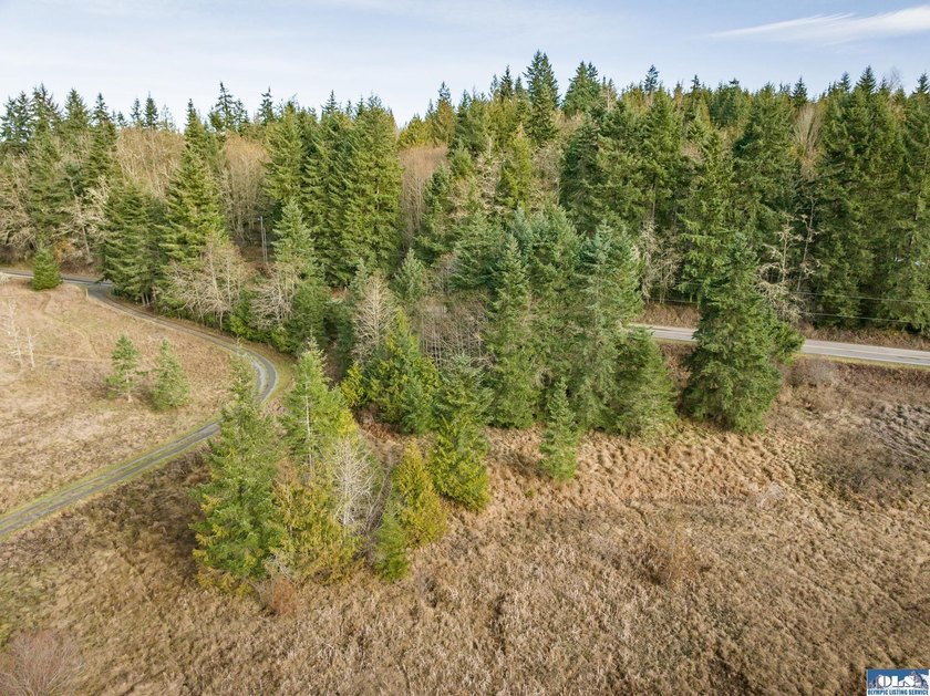 A gem in Sequim! There's a reason this parcel feels like a - photo 41