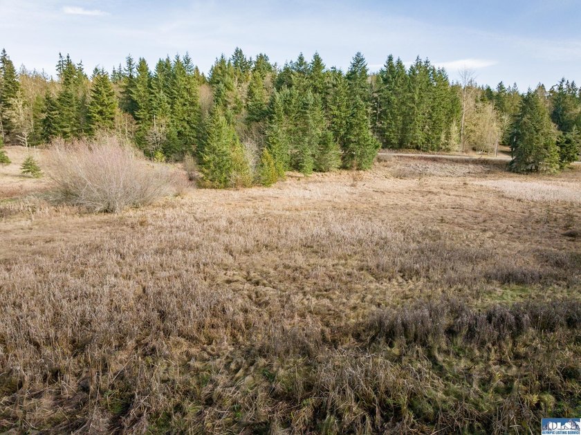A gem in Sequim! There's a reason this parcel feels like a - photo 43