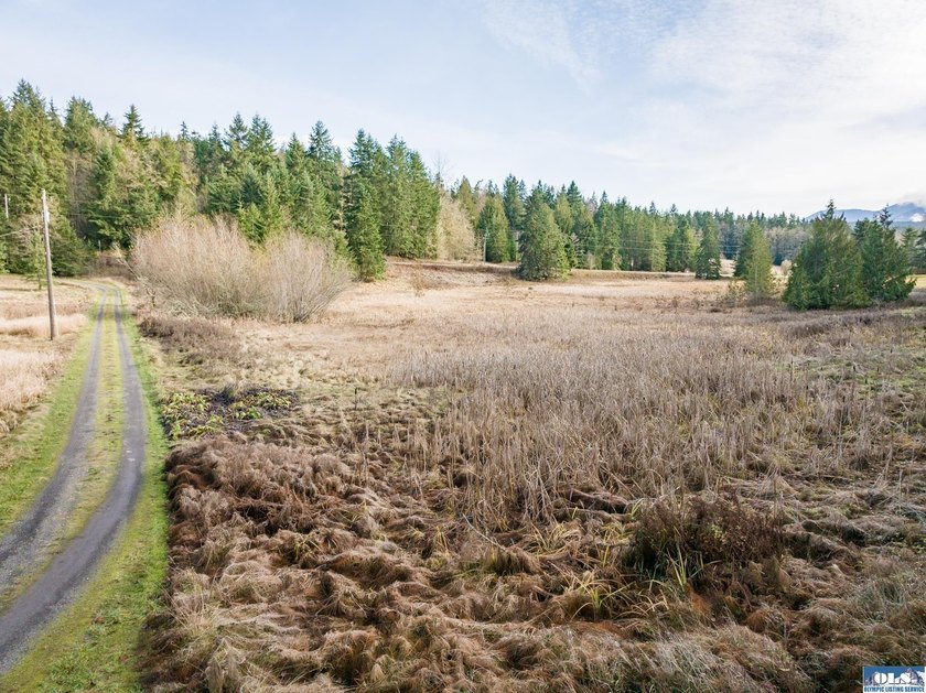 A gem in Sequim! There's a reason this parcel feels like a - photo 44