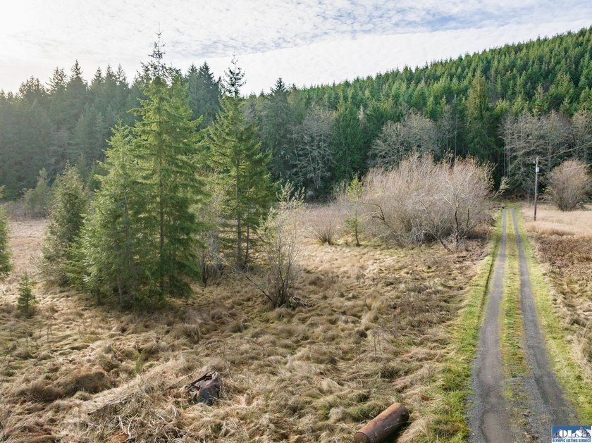 A gem in Sequim! There's a reason this parcel feels like a - photo 45
