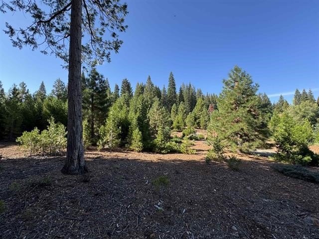 Bailey Creek Lot with Mount Lassen Views! Nestled on a - photo 2