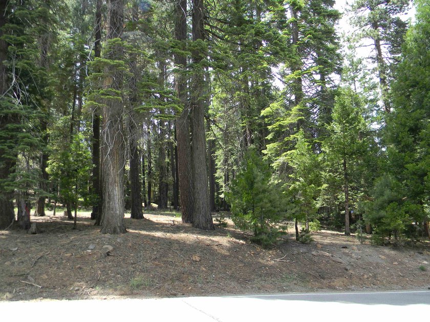 Beautiful view from this elevated lot within walking distance to - photo 2