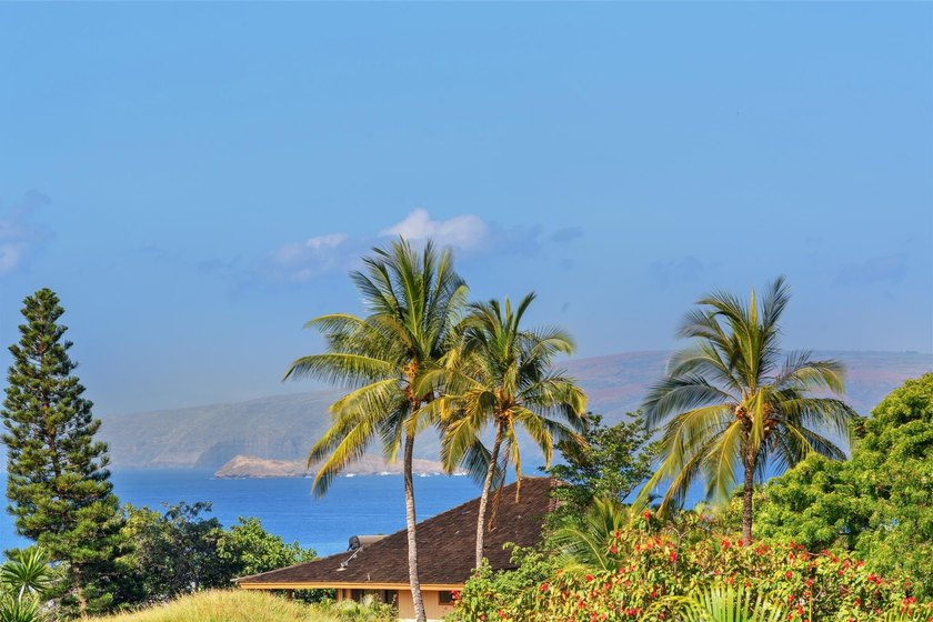 Located toward the top of Keonekai Road near the end of a quiet - photo 12