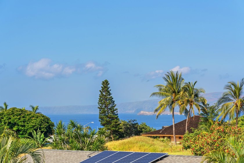 Located toward the top of Keonekai Road near the end of a quiet - photo 13