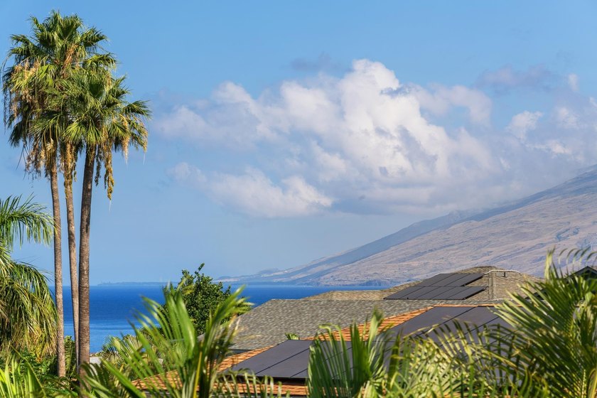 Located toward the top of Keonekai Road near the end of a quiet - photo 16