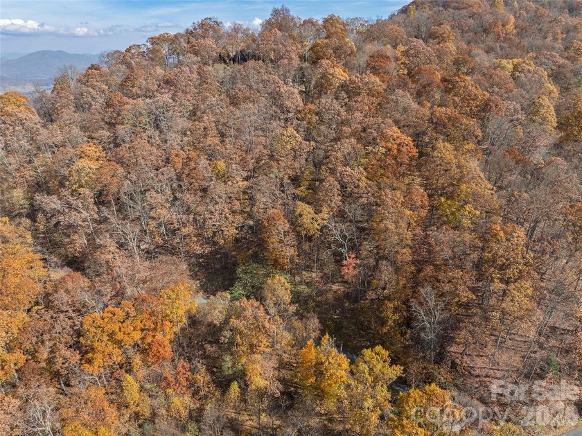 Discover a rare opportunity to build your dream mountain estate - photo 6