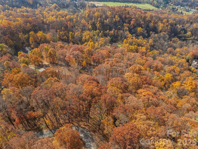 Discover a rare opportunity to build your dream mountain estate - photo 8