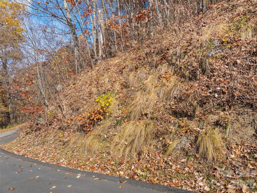 Discover a rare opportunity to build your dream mountain estate - photo 9