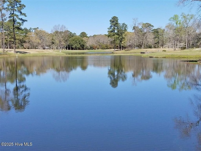 Nice Golf Course Front Building Lot on Approach Shot of Green - photo 6