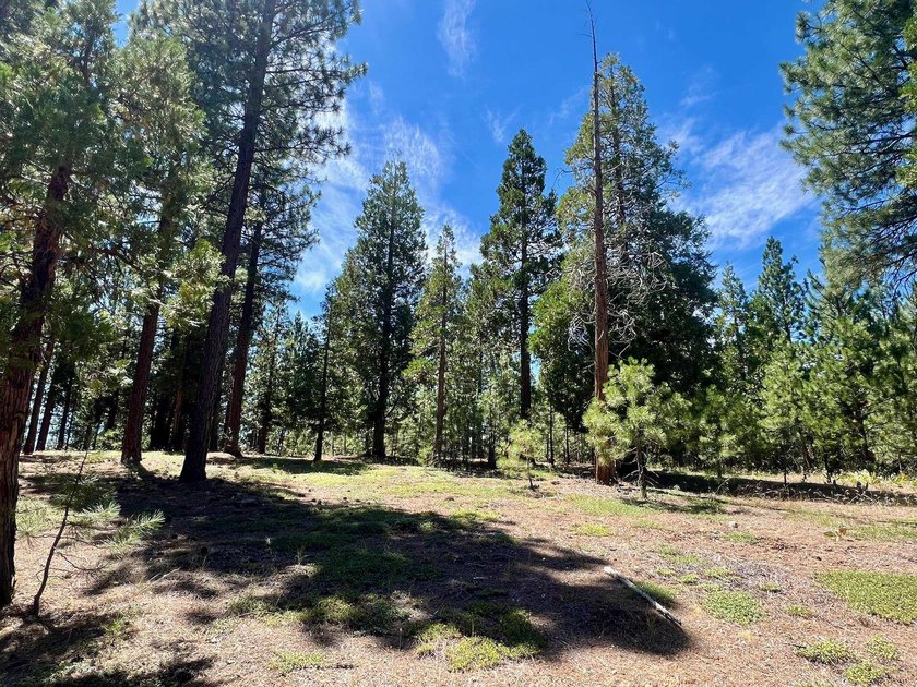 WHERE THE PINES MEET LUXURY LIVING! Discover the perfect setting - photo 2