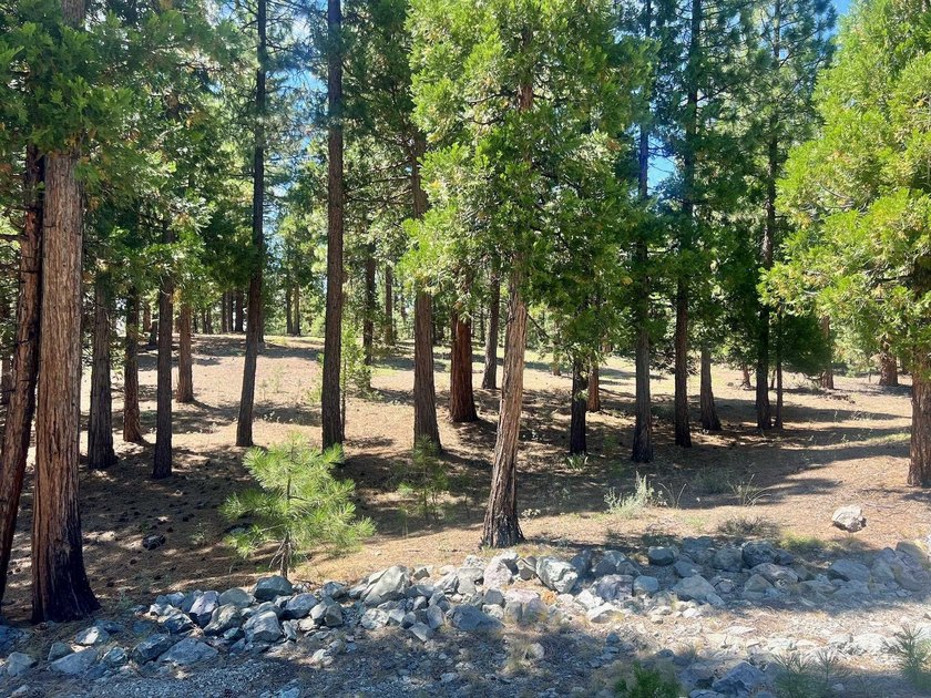 WHERE THE PINES MEET LUXURY LIVING! Discover the perfect setting - photo 3