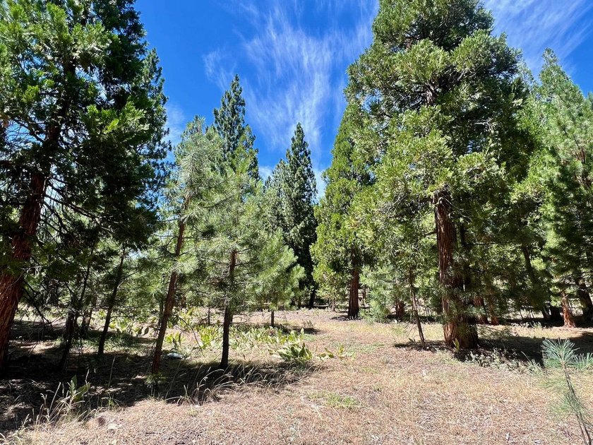 WHERE THE PINES MEET LUXURY LIVING! Discover the perfect setting - photo 4