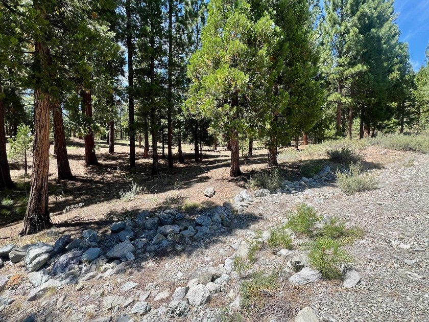 WHERE THE PINES MEET LUXURY LIVING! Discover the perfect setting - photo 7