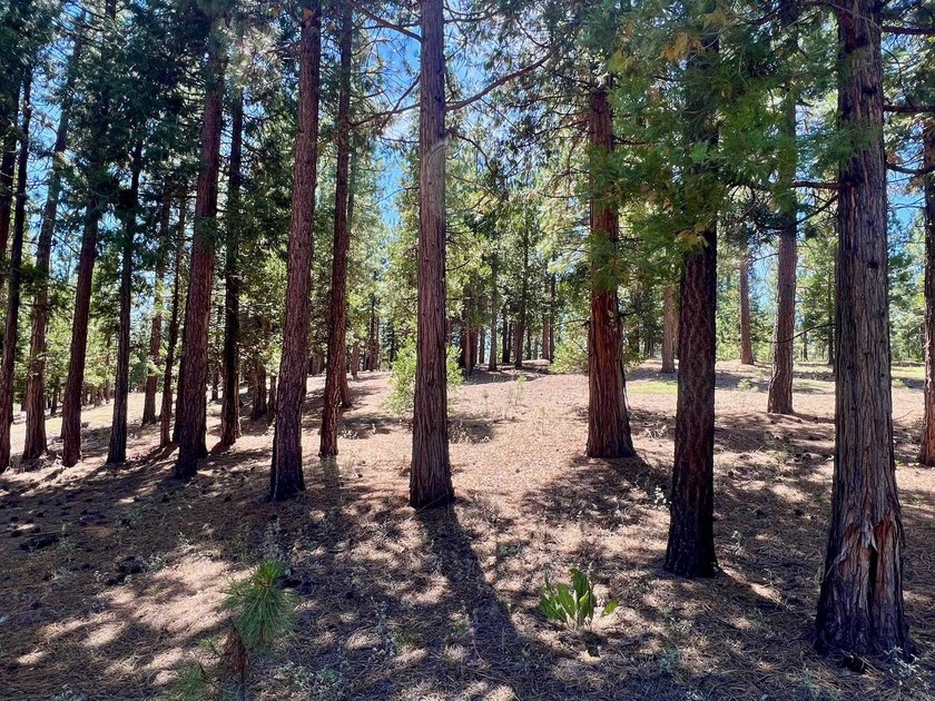 WHERE THE PINES MEET LUXURY LIVING! Discover the perfect setting - photo 8